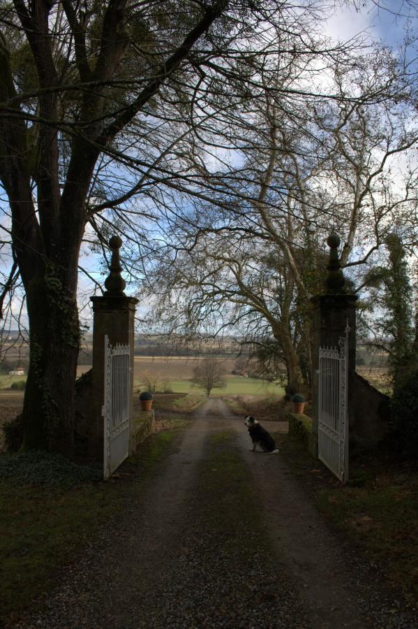 Au Chateau Juillac Kültér fotó